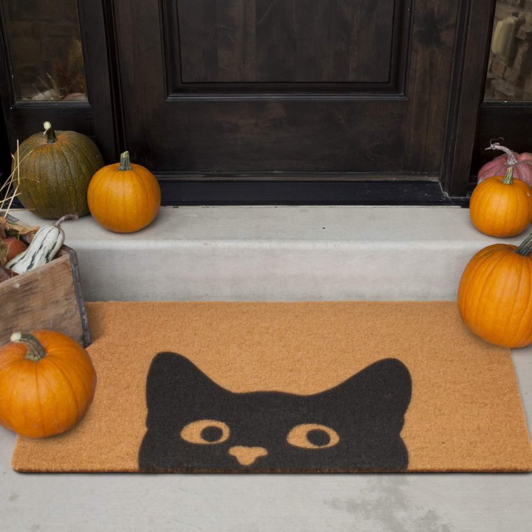 Door Mat Outdoor Indoor Welcome Mats, Cute Cat Front Doormat, Non Slip  Durable Entrance Rugs for Front Door, Inside Outside Entry, Porch, Resist  Dirt, 17 x 30, Easy to Clean 