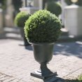 thumbnail image 2 of Artificial Cedar Ball, 24in, 2 of 3