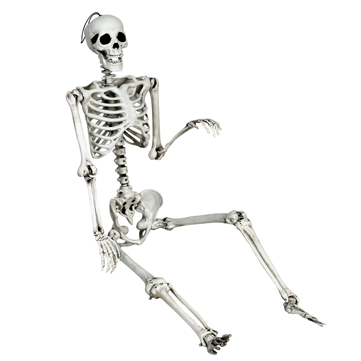 Costway 5.4ft Halloween Christmas Skeleton Life Size Realistic Full Body Hanging with Movable Joints 63 Inches