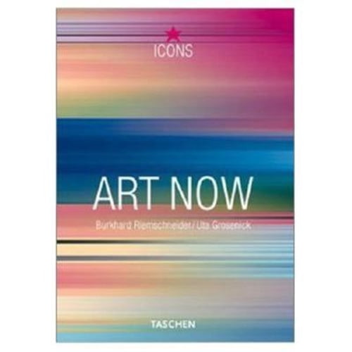 Pre-Owned Art Now (TASCHEN Icons Series) (Paperback) 3822811602 9783822811603