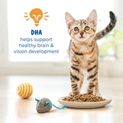 Purina Kitten Chow Year One Essentials with Real Chicken High-Protein Complete, 14 lb.