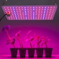 thumbnail image 3 of TUOY LED Grow Lights 650W Full Spectrum Grow Light for Indoor Plants & Red Blue Spectrum Plant Light 3 Light Modes with 306/612 LED for Hydroponics Greenhouse Seeding, Flowering, 3 of 12