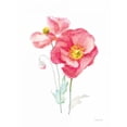 thumbnail image 2 of Nai, Danhui 25x32 White Modern Wood Framed Museum Art Print Titled - Color of Spring III, 2 of 4