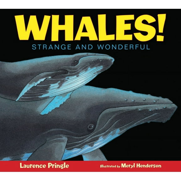 Strange and Wonderful: Whales! : Strange and Wonderful (Paperback)