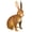 14", variant on Regal Art & Gift Bunny Decor 8" Metal 8.25" Garden Outdoor