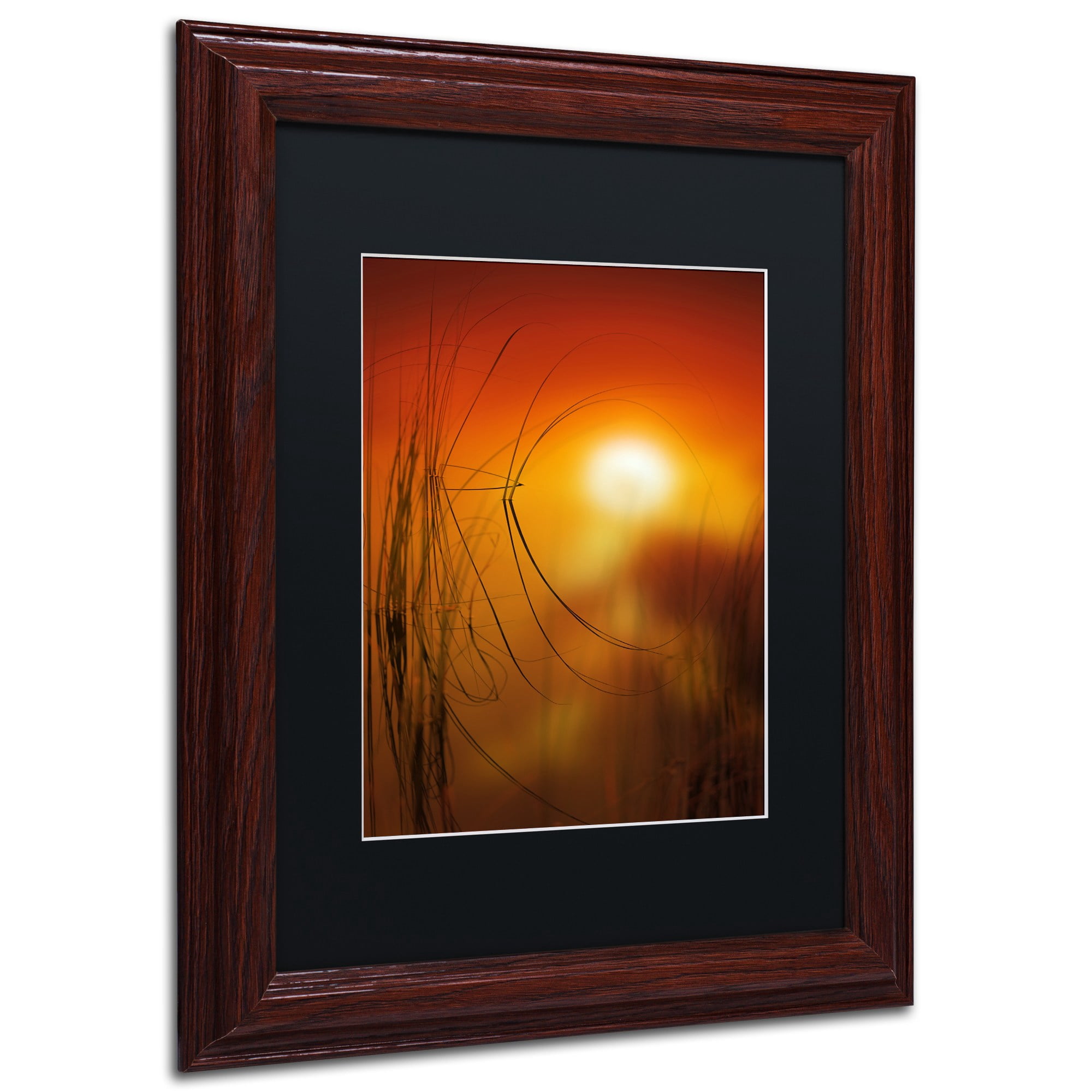 Trademark Fine Art "Nature Time Machine" Canvas Art by Philippe Sainte-Laudy Black Matte, Wood Frame