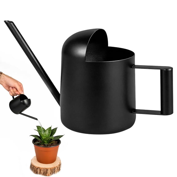 Watering Cans, TSV 10oz/300ml Stainless Steel Mini Watering Can, Black Long Spout Small Watering Sprinkling Pot for Indoor Outdoor Plant