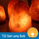 thumbnail image 5 of Ampoule Four 25W 300 Degres E14 Dimmable, AC220V-240V, Ampoule Incandescence E14 T22, 120LM Blanc Chaud 2300K, E14 Petit Culot à Vis Pygmy Lamps pour Micro-ondes, Four, Lampe à sel, 3 Unité Kuyhfg Bienvenido a Kuyhfg, 5 of 5