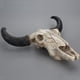 thumbnail image 5 of Cateissary Calaveras de resina Cabeza de vaca 3D Resina epoxi Colgante Adornos de moda para parrilla Restaurante Calavera Decoración en paquete Decoración, 5 of 6