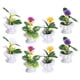 thumbnail image 4 of 8pcs Miniature Realistic Potted Bonsai Plants for Dollhouse Decor, No Watering Needed, Ideal for Miniature Landscaping and Photography Props, 4 of 4
