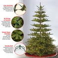thumbnail image 2 of National Tree Company 7.5 ft. Glenwood Fir Tree with Clear Lights and PowerConnect, 2 of 6