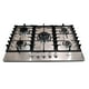 thumbnail image 2 of SHORBULL Parrilla de gas de 5 quemadores con comal incluido, 2 of 8