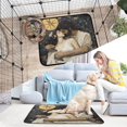 thumbnail image 7 of Qxltty The Star and The Maiden Cat litter Pads Pet Set of 3 Diaper Mats Center Anti-leakage Layer Absorbent Soft and Comfortable, 7 of 7