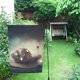 thumbnail image 1 of Caracol con Concha Casa con Luz ABPHQTO Bandera de Jardín 30x45 cm, 1 of 1