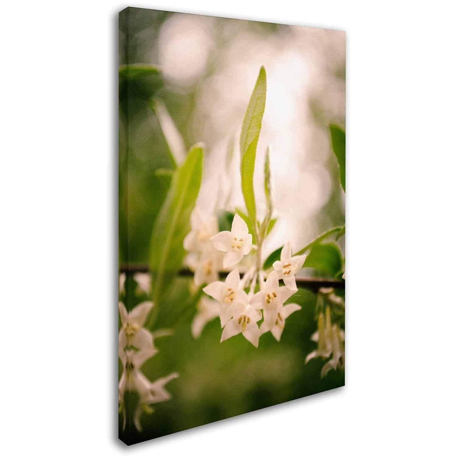 Trademark Fine Art 'Floral Tranquility' Canvas Art by PIPA Fine Art