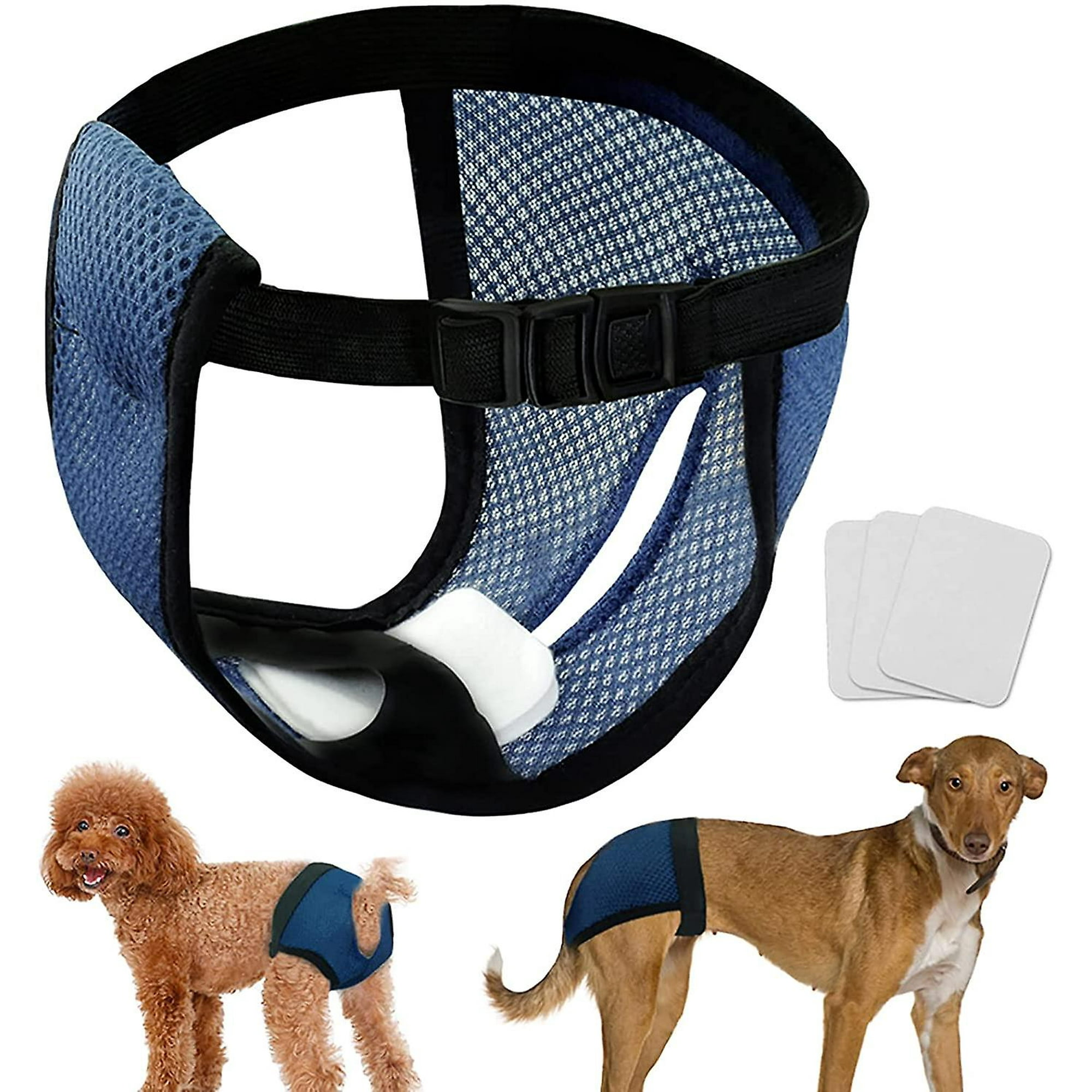 Why Do Female Dogs Dig