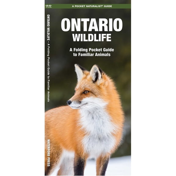 Canadian Nature Guides: Ontario Wildlife: A Folding Pocket Guide to Familiar Animals (Paperback)