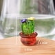 thumbnail image 4 of 12 Piezas de Adornos Interiores para Automóviles, Figuras Artísticas de Cactus, Decoración del Hogar, Adornos de Cactus de Plantas en Miniatura para Manualidades de Escritorio A, 4 of 5