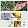 thumbnail image 5 of Tijeras de acabado con podadora integrada para injertar ramas y árboles frutales (1 ud.), 5 of 5
