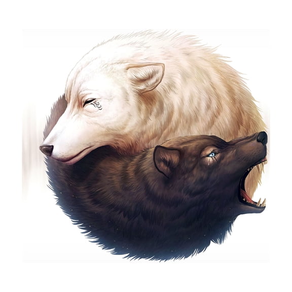 Trademark Fine Art 'Yin and Yang' Canvas Art by JoJoesArt