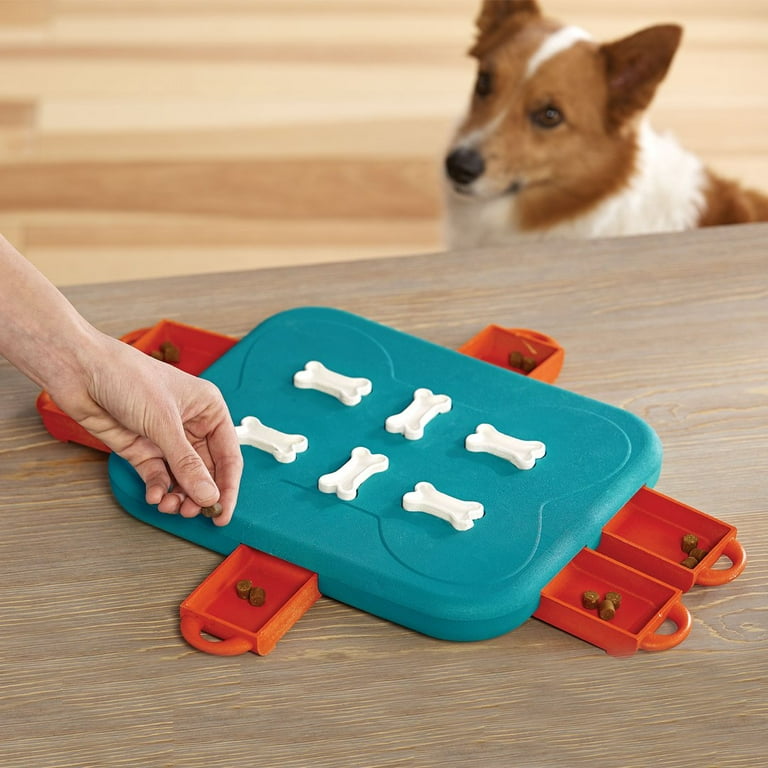 Outward Hound Casino Interactive Treat Puzzle Dog Toy, Turquoise, One-Size