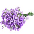 thumbnail image 1 of Flor Artificial ABAJI Aliento de Bebé Gypsophila 30 cm, 1 of 9
