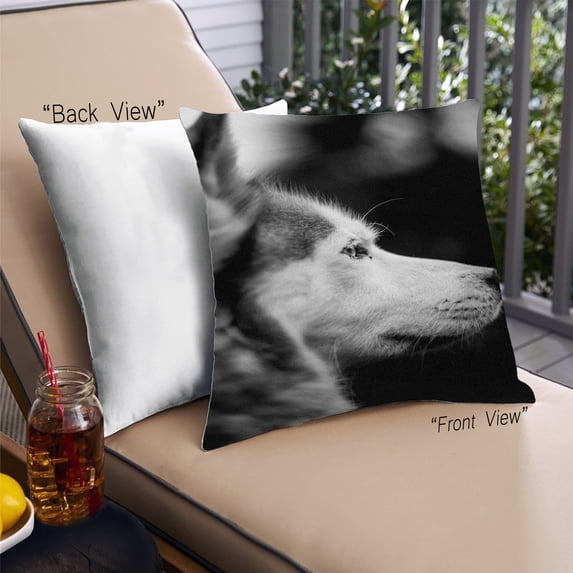 Ahgly Company Dogs Dogs Outdoor Throw Pillow, 18 inch by 18 inch