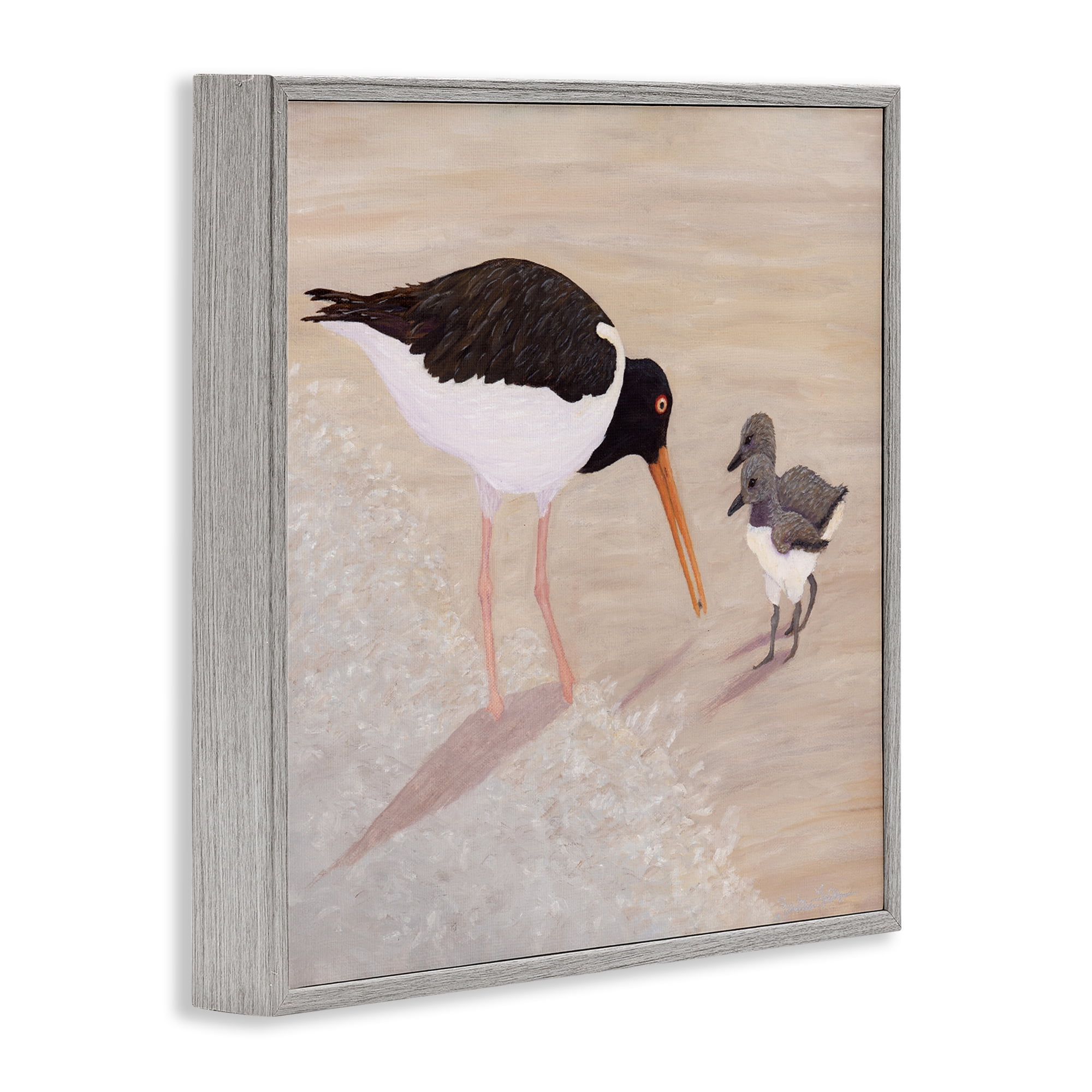 Stupell Industries American Oyster Catcher & Chicks Gray Framed Giclee Art, design by Barbara Fallenbaum