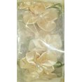 thumbnail image 2 of Ruban garniture Fleurette Offray 1.5 po, 2 of 3