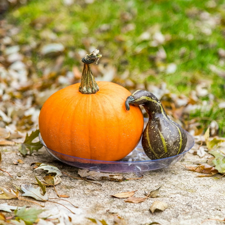 Mainstays 10 Inch Round Clear Vinyl Plant Saucer for Indoor