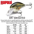 thumbnail image 2 of Rapala DT06SMSH Crankbait Plongées-À 06, 2", 3/8oz, Fracasser, Flottant, 2 of 4