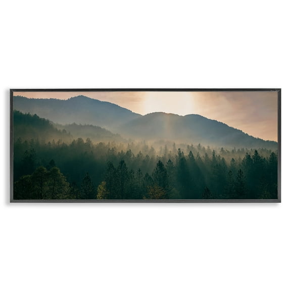 Stupell Industries Morning Sun over Misty Trees Landscape Photography Black Framed Art Print Wall Art, 24 x 10