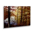 thumbnail image 2 of Trademark Fine Art 'A Secret Pond' Brushed Aluminum Wall Art Art by Kurt Shaffer, 2 of 4