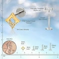 thumbnail image 6 of Limerencia Titanium F136 Hypoallergenic Flat Back Stud Earrings for Cartilage/Nose/Lip Piercing for Men and Women（1Pc), 6 of 7