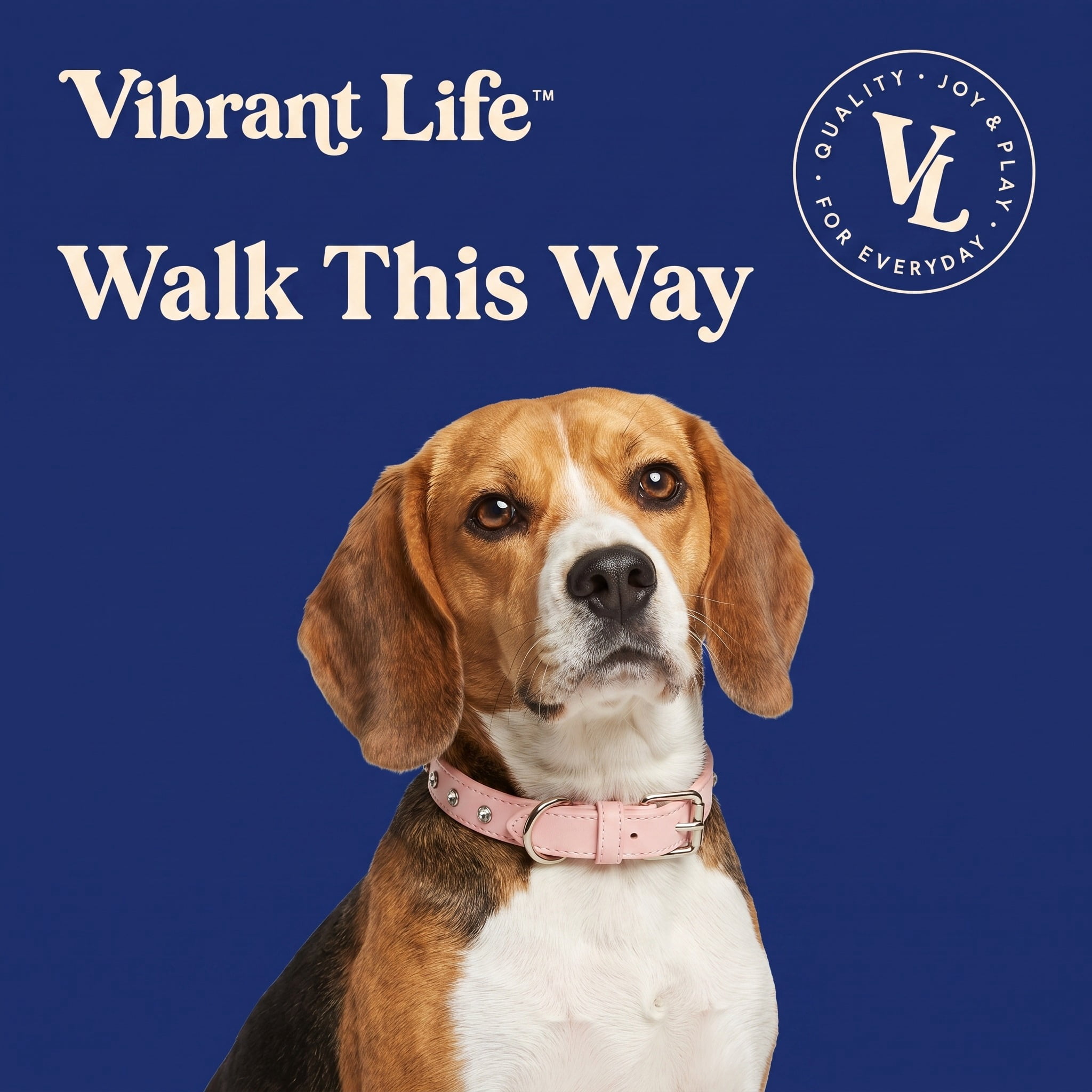Vibrant Life Rhinestone Studded Adjustable Dog Collar, Pink, M