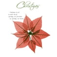 thumbnail image 2 of Koetsier, Albert 15x18 White Modern Wood Framed Museum Art Print Titled - Seasonal Poinsettia 1, 2 of 4