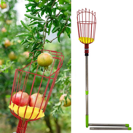 5.2FT Fruit Picker Tool  Fruit Picker Pole Tool with Light-Weight Aluminum Telescoping Long Pole and Basket  Picking Peaches  Mango  Apple  Orange  Fruit Catcher for Trees