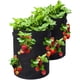 thumbnail image 2 of Dinheiro 2 bolsas para plantas de fresa de 43 litros de tela no tejida con asas y 8 bolsillos laterales para cultivo, bolsas para plantas de balcón y verduras, diámetro 35 x 45 cm (2 x 10 galones), 2 of 8