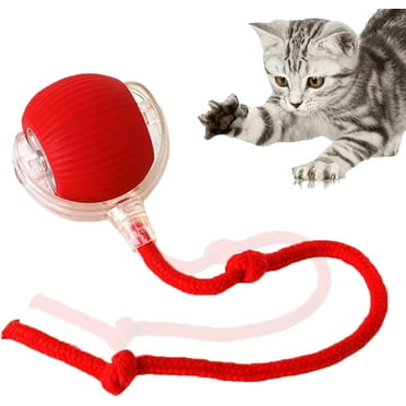 Alinwnia 1Pc Interactive Cat Toys Balls,Motion Activate Electric Cat Toy,Automatic Pet Exercise Toys,Simulate Bird Calls,USB Rechargeable