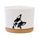 thumbnail image 1 of Funny Unique Succulent Pots Ceramic Fleshy Flowerpot Tray Indoor Desktop Bonsai Decoration Optional, 1 of 9