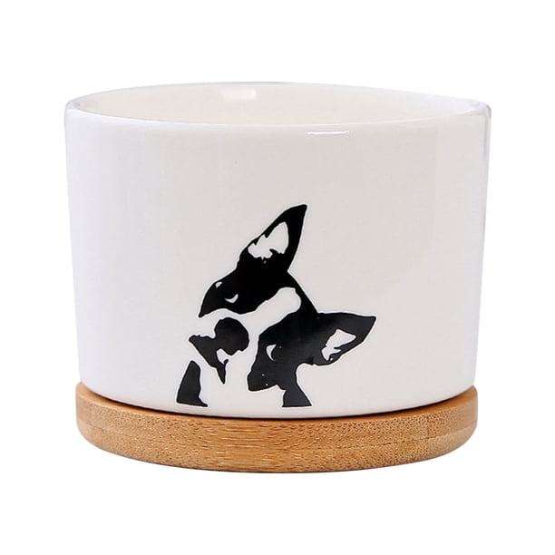 Funny Unique Succulent Pots Ceramic Fleshy Flowerpot Tray Indoor Desktop Bonsai Decoration Optional