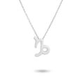 thumbnail image 2 of Xingzhi Constellation Theme Friendship Necklace Creative Comfortable Ins Exquisite Durable Rust-proof Lightweight Fashion Accessory Capricorn Silver, 2 of 5