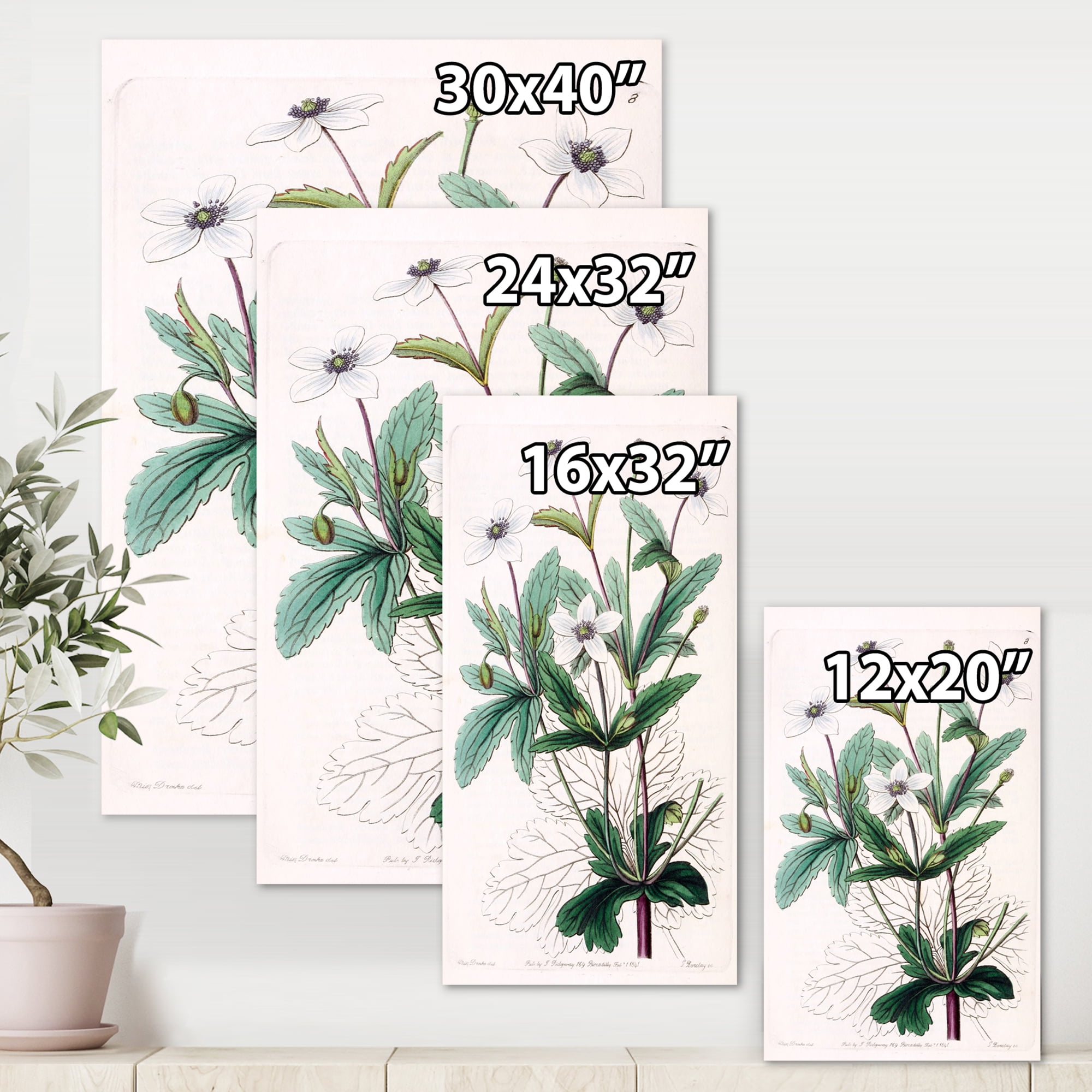 Designart ' Ancient Plant Life XXI ' Traditional Canvas Wall Art Print