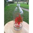 thumbnail image 1 of 8 oz. Feeder (Bulk), 1 of 6