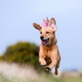 thumbnail image 3 of Mini Pet Hat with Adjustable Elastic Band for Small Pets, 3 of 5