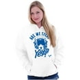 thumbnail image 4 of US Air Force Proud Aircraft Pilot Hoodie Sweatshirt Women Men Brisco Brands M, 4 of 6