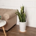thumbnail image 2 of 6 Pieces Cork Coaster Round Plant Coaster Absorbent Cork Soft Bar Cork Mat Table Cork rd for Kitchen Hot Pads, Pots, Pans, DIY Craft Supplies (8 Inch), 2 of 7