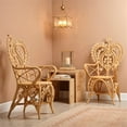 thumbnail image 2 of Jamie Young Co Hibiscus Rattan Arm Chair, 2 of 6
