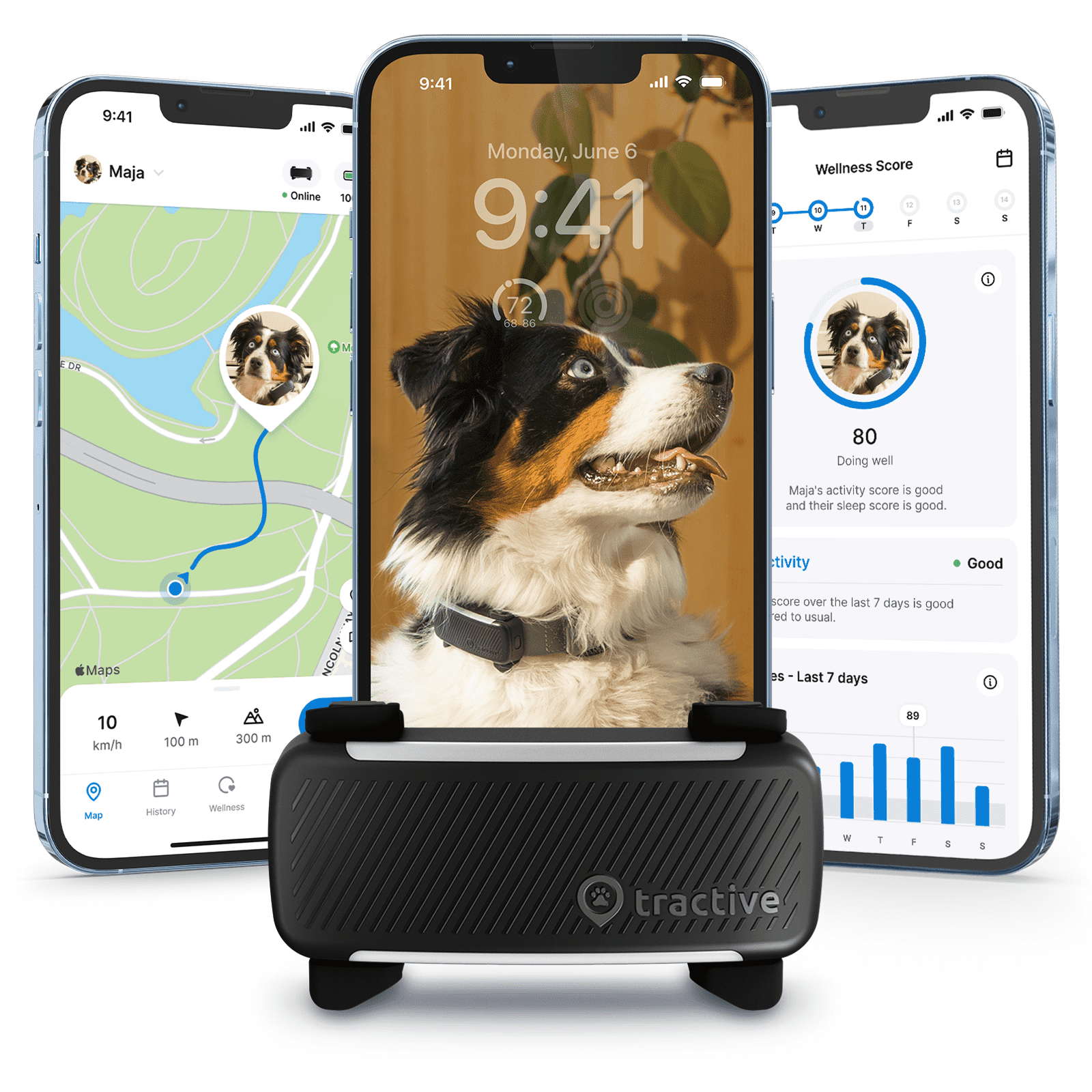 Tractive Dog GPS Tracker, Waterproof Location and Activity