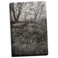 thumbnail image 2 of Gango Home Decor Country Serenity I by Vitaly Geyman (Ready to Hang); One 24x36in Hand-Stretched Canvas, 2 of 4